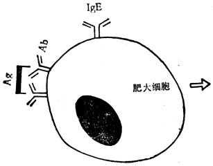 linchuangyingyangxue158.jpg