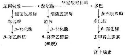 linchuangyingyangxue141.jpg