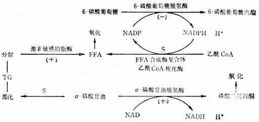 linchuangyingyangxue118.jpg