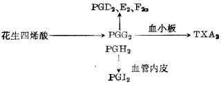 linchuangyingyangxue116.jpg