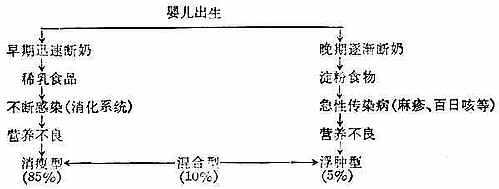 linchuangyingyangxue096.jpg