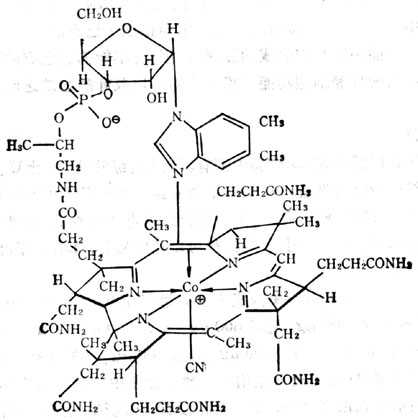 ܰطʽCN<u>ʮ</u><u>ʮ</u><u>ʮ</u><u>ʮ</u>棩 