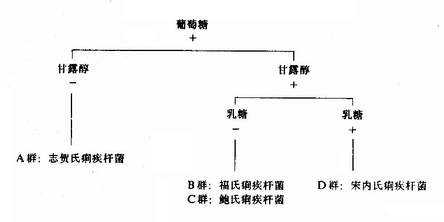 yixueweishengwuxue019.jpg