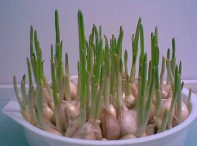 ���ⷢѿ���ܳ��𣿶����ɳ���ʳ�ô���