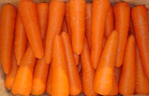 �����ܲ�����ʲôӪ��������ܲ�����ǽ���