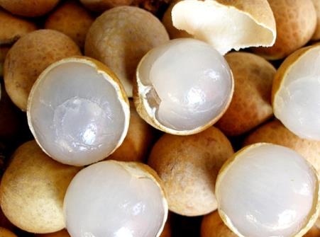 ����������ܲ�Ѫ�����𣿳����۵ĺô�