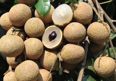 �и����Գ��������и������۶��������